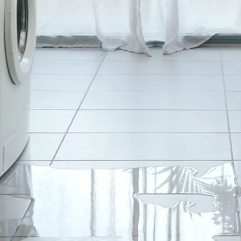 Appliance Leak Cleanup in Bellville, OH