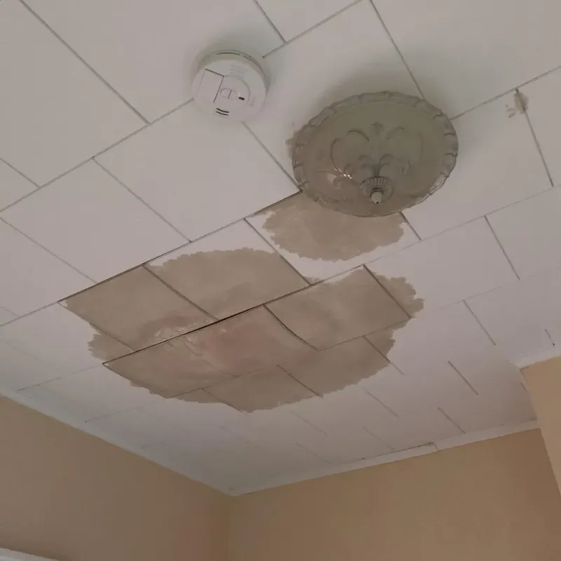 Ceiling Water Damage Repair in Bellville, OH