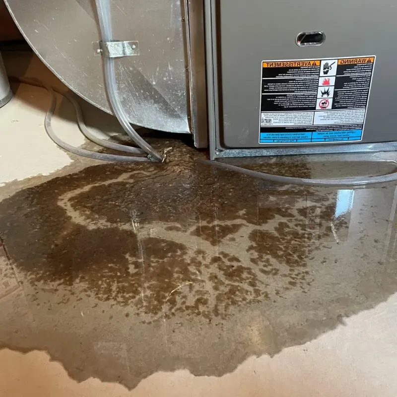 Pipe Burst and Leak Restoration in Bellville, OH