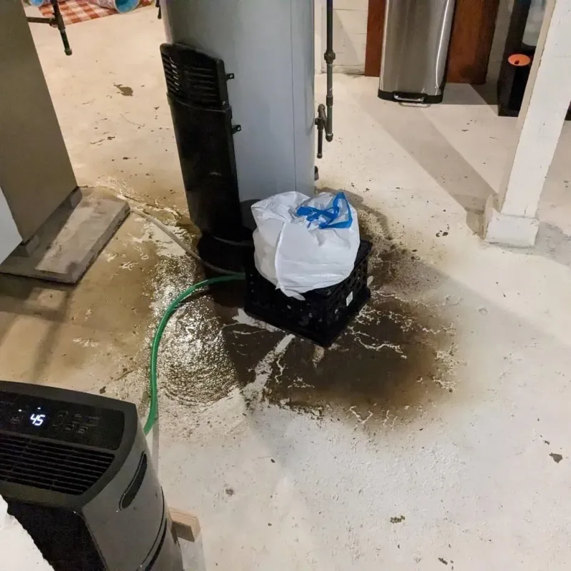 Sewage Backup Cleanup Service in Bellville, OH
